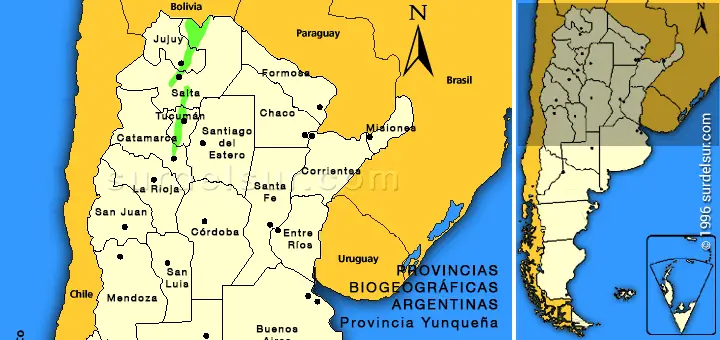 Biogeographycal Province of Yungas. Map