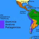 Mapa del Dominio Andino Patagónico