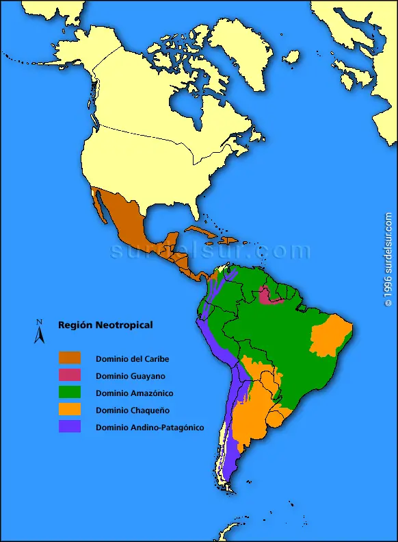 Neotropical Region in America. Map
