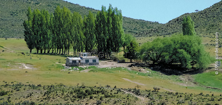 Edificación y arboleda en un valle en la Pampa Ondulada