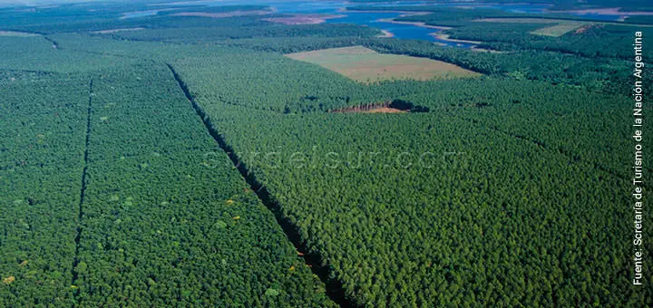 Panoramic view of Sub-tropical Plain at Misiones