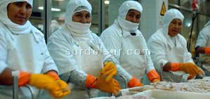 Fresh Fish Processing Plant Workers 