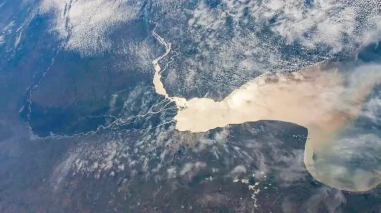 The Río de la Plata, the widest in the world