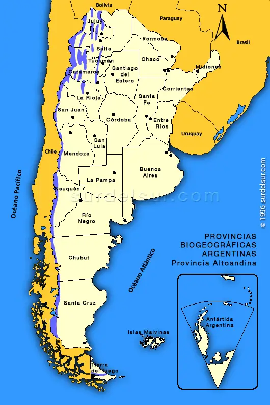 Provincia Biogeográfica Altoandina de Argentina, perteneciente al Dominio Andino Patagónico Mapa