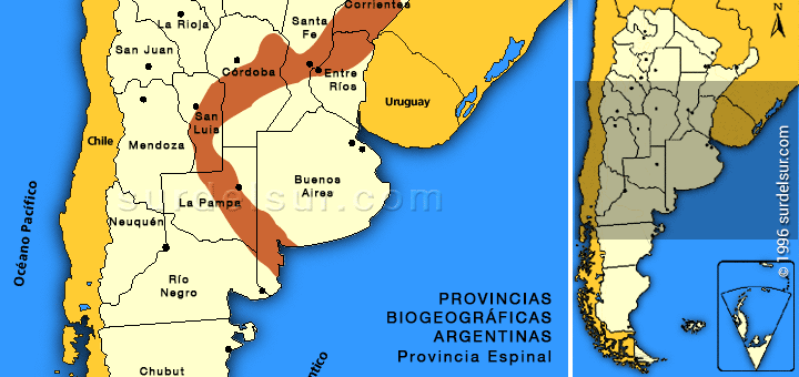 Provincia Biogeográfica Espinal