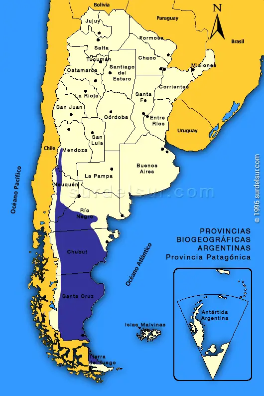 Provincia Biogeográfica Patagónica de Argentina
