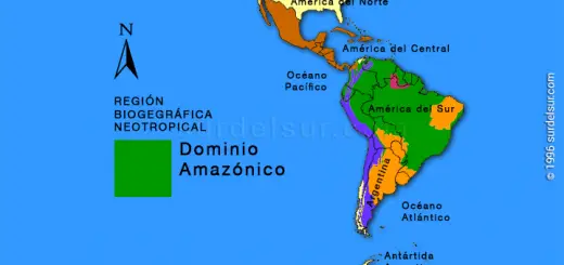 Domino Amazónico en Argentina y en el continente americano