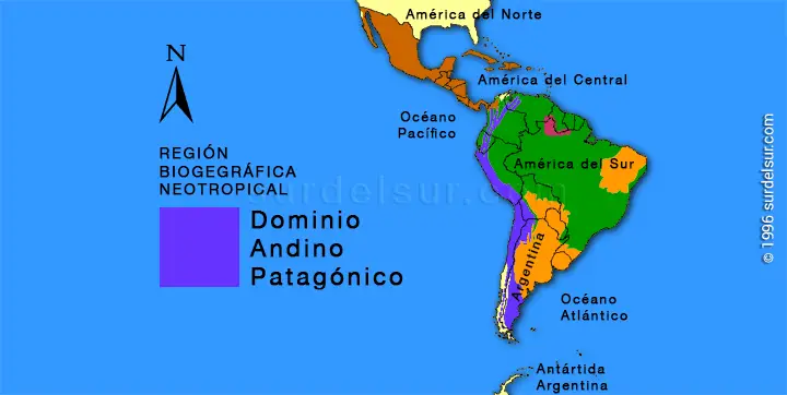 Dominio Andino Patagónico en Argentina y América del Sur