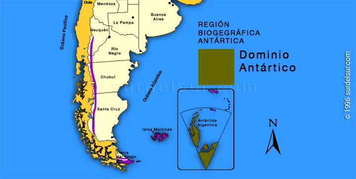 Dominio Antártico Argentino Mapa