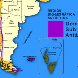 Dominio subantártico . Mapa