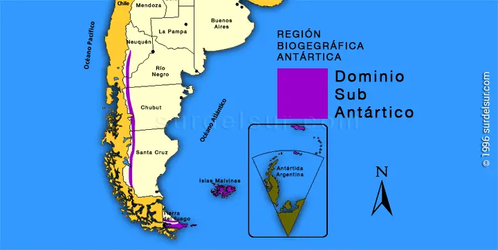 Dominio subantártico . Mapa