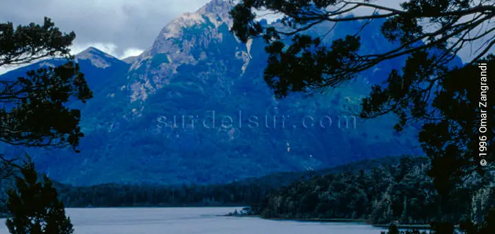 Primer plano de vegetación, lago y montaña de un lago de la Patagonia Argentina