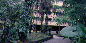 Jardines de la institución con restos de la Selva Basal Tucumana. Al fondo el edificio del Área de Zoología. Fundación Miguel Lillo - Tucumán, Argentina -