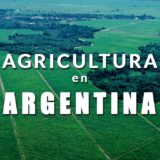 Agricultura en Argentina Panorama 2020