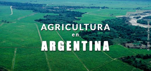 Agricultura en Argentina Panorama 2020