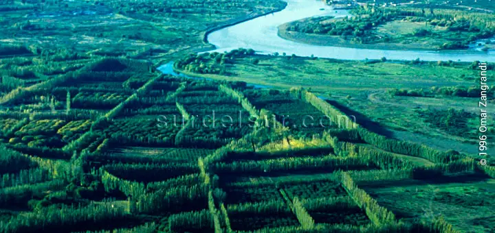 Vista aérea de cultivos en Neuquén