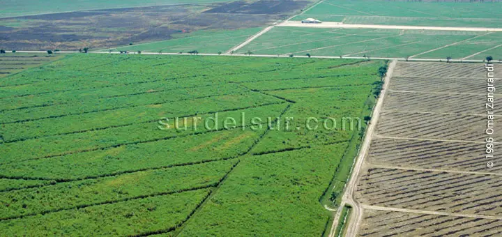 Vista aérea de cultivos en zona templada
