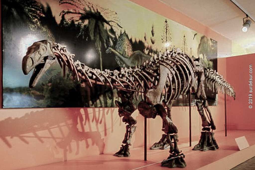 Dinosaurio Museo de Ciencias Naturales Lillo. Sección Paleontología.