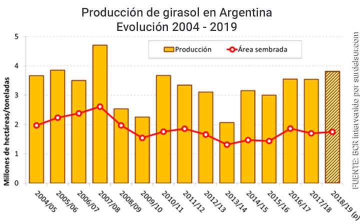 Producción de girasol en Argentina. Evolución 2004 - 2019