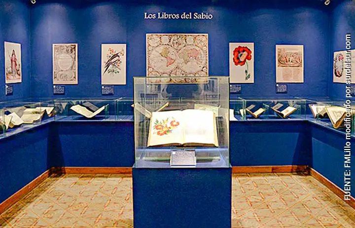 Casa Museo de Lillo