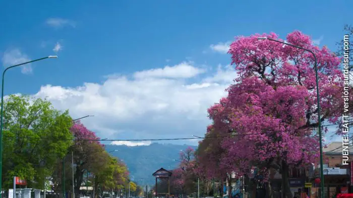 Gran Tucumán: Avenida en Yerba Buena